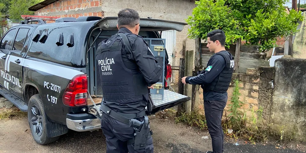 Ação conjunta da Polícia Civil de Castro e Polícia Militar efetuou a prisão dos acusados