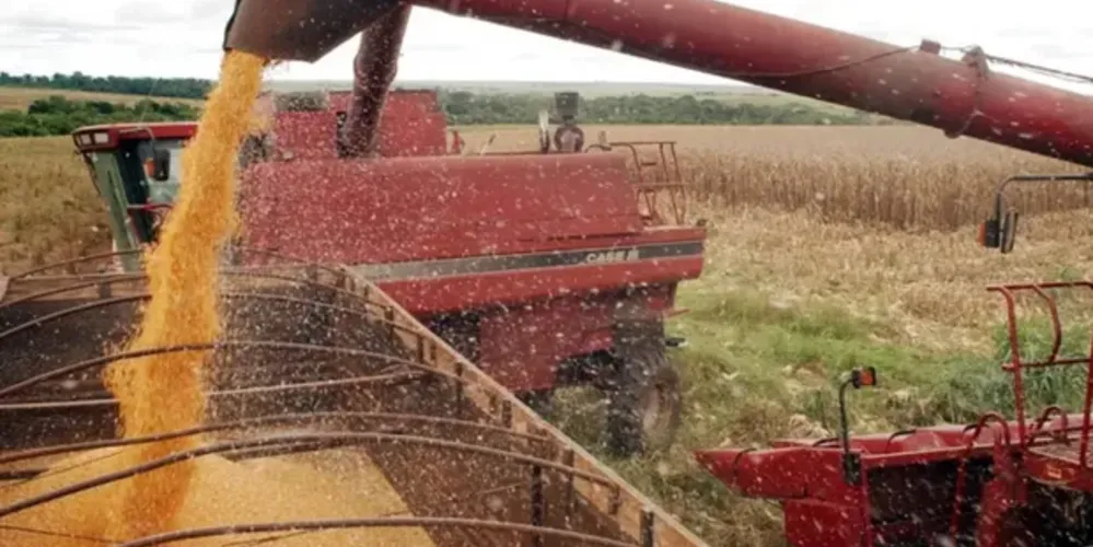 Mesmo com a revisão, o balanço do complexo da soja indica recordes em produção, processamento e exportações