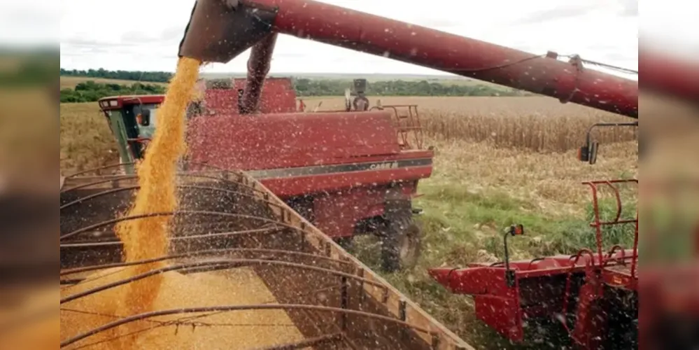 Mesmo com a revisão, o balanço do complexo da soja indica recordes em produção, processamento e exportações