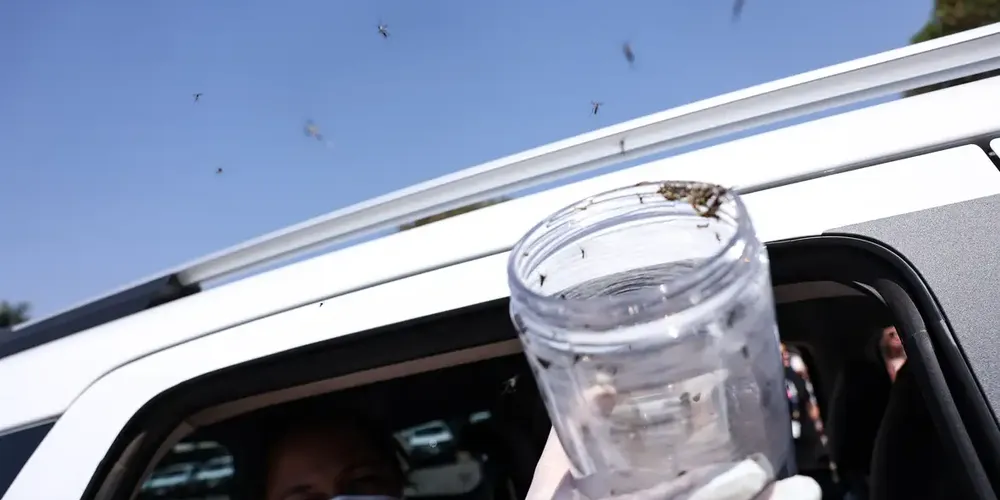 O investimento inicial é de R$ 1,5 milhão, contemplando produção, logística e monitoramento da estratégia