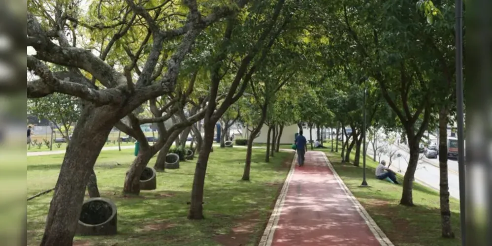 Licitação prevê registro de preços para investir em arborização e paisagismo urbano