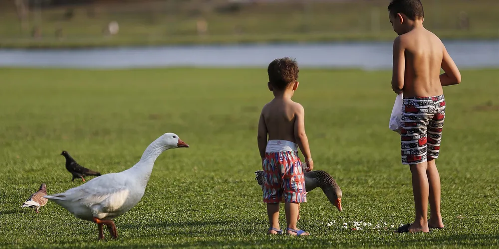 Após a sexta-feira e sábado de sol, a chuva é esperada para chegar ao Paraná no domingo (30)