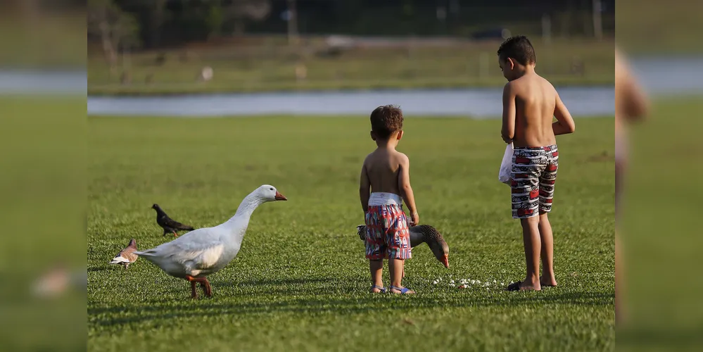 Após a sexta-feira e sábado de sol, a chuva é esperada para chegar ao Paraná no domingo (30)