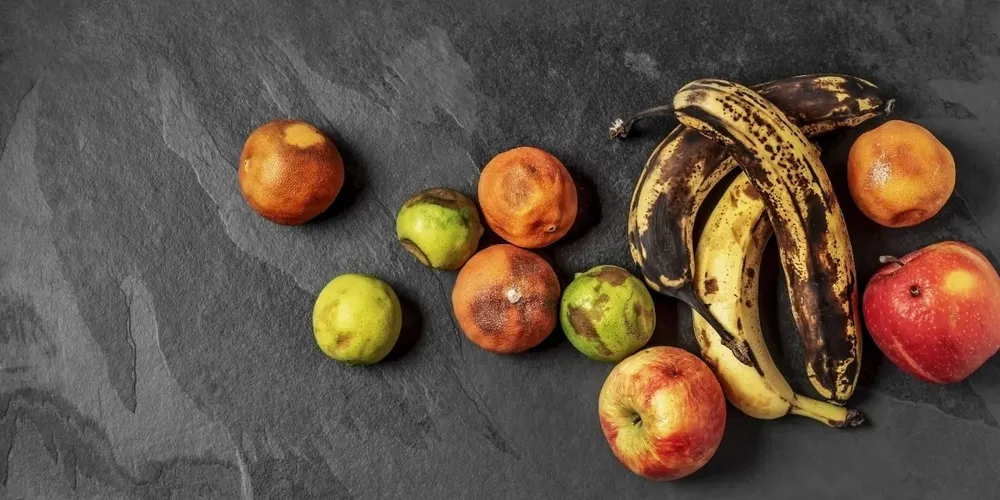 A manipulação incorreta de alimentos durante dias de calor também aumenta os riscos de intoxicação alimentar