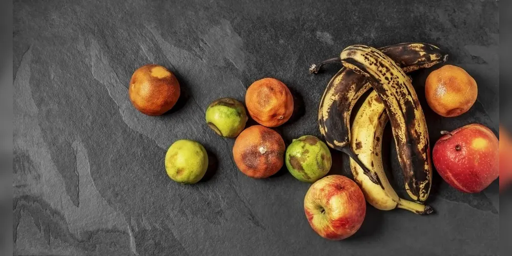 A manipulação incorreta de alimentos durante dias de calor também aumenta os riscos de intoxicação alimentar