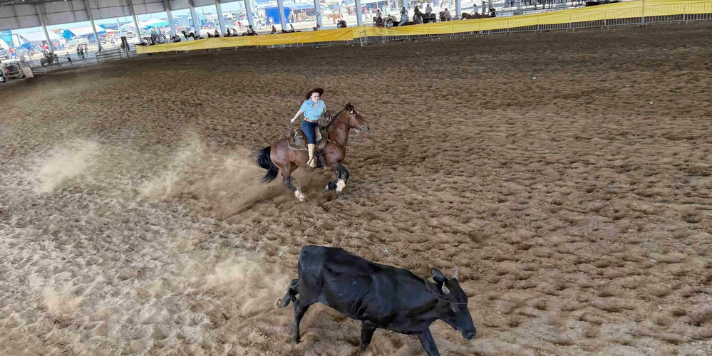 Pelo menos 200 CTGs de 17 regiões se encontram na pista coberta do Parque Dario Macedo