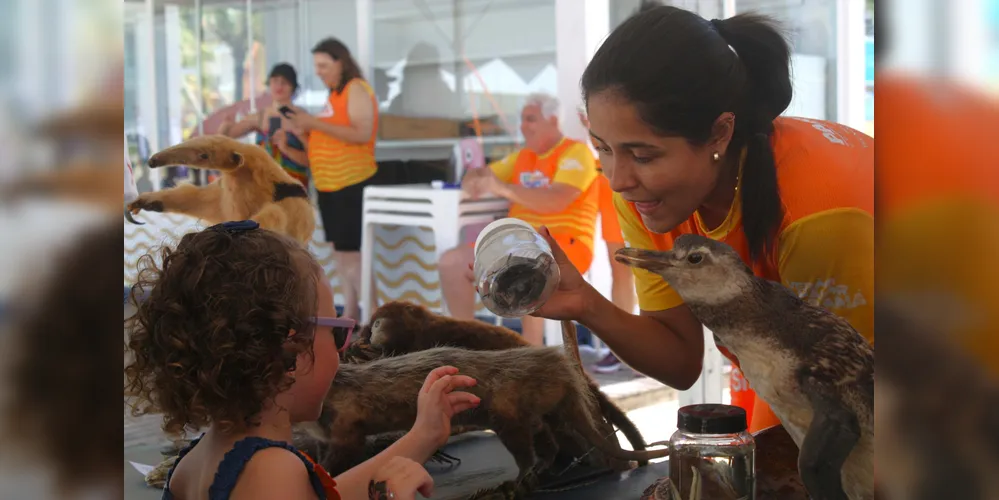 um grupo com aproximadamente 50 professores e estudantes das instituições de ensino superior desenvolvem atividades educativas, científicas, culturais e recreativas