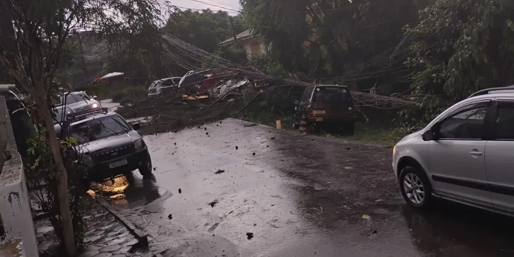Foram registradas 35 quedas de árvores e sete alagamentos em Curitiba