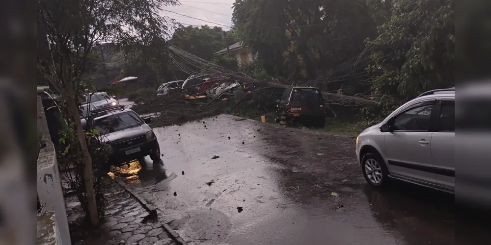 Foram registradas 35 quedas de árvores e sete alagamentos em Curitiba