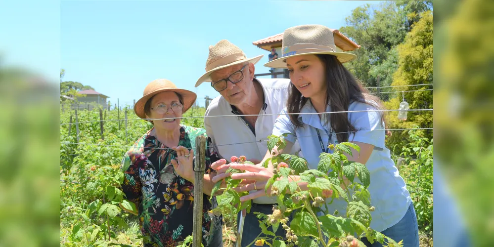 Outros três editais (003/2006, 004/2026 e 005/2026) serão publicados na segunda-feira (12)