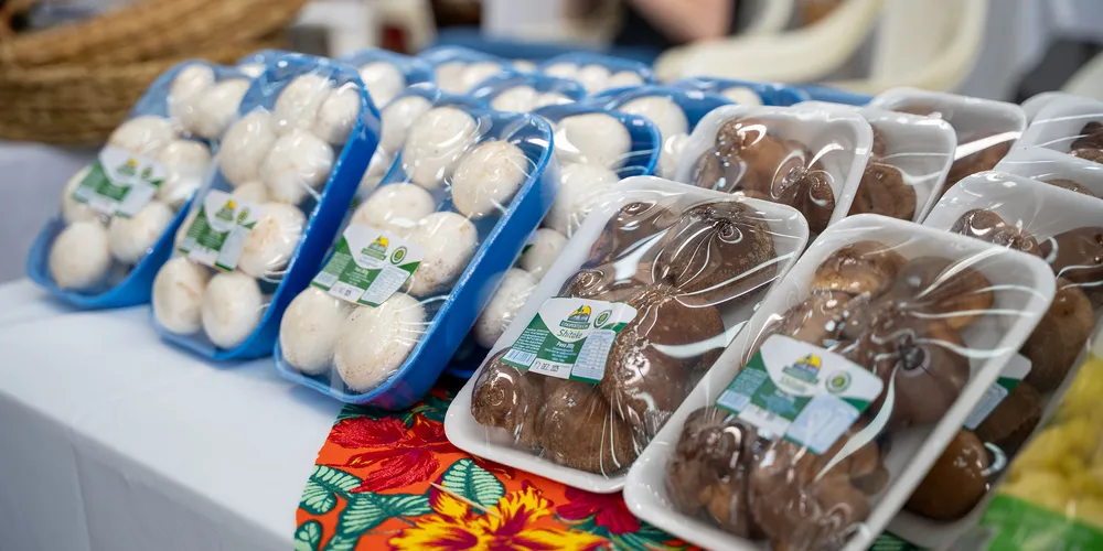 Alguns dos destaques são a certificação orgânica e aposta na venda in natura