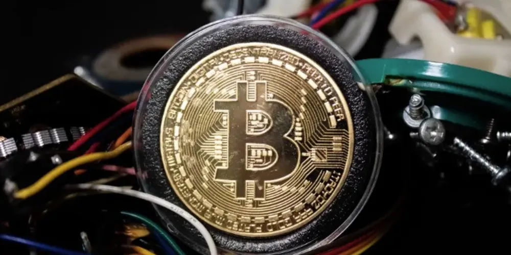 Milhares de usuários já estão na plataforma, com métricas em tempo real visíveis no site