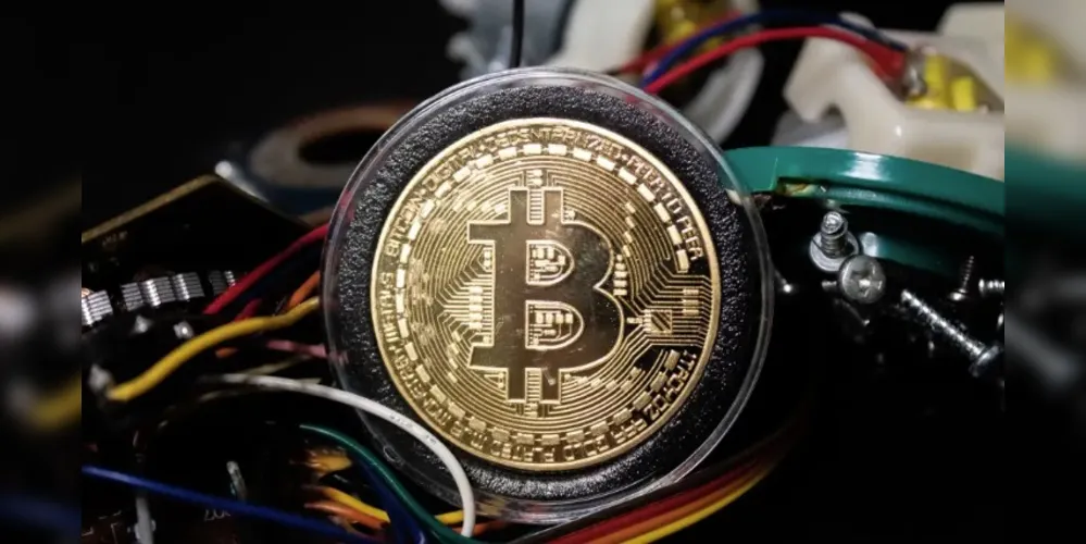 Milhares de usuários já estão na plataforma, com métricas em tempo real visíveis no site