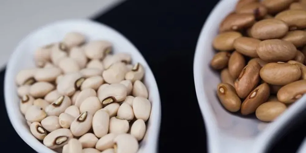 Feijão fradinho e  feijão comum