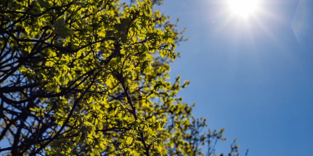 A previsão é de que já às 11h da manhã desta quarta a temperatura alcance os 21 °C
