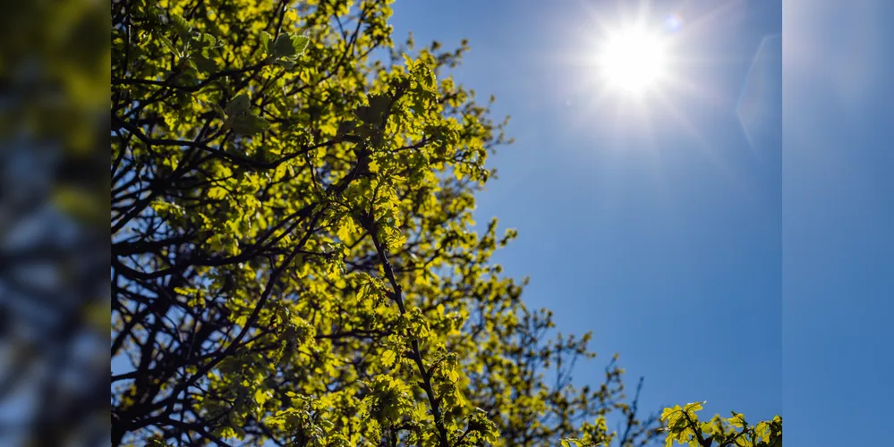 A previsão é de que já às 11h da manhã desta quarta a temperatura alcance os 21 °C