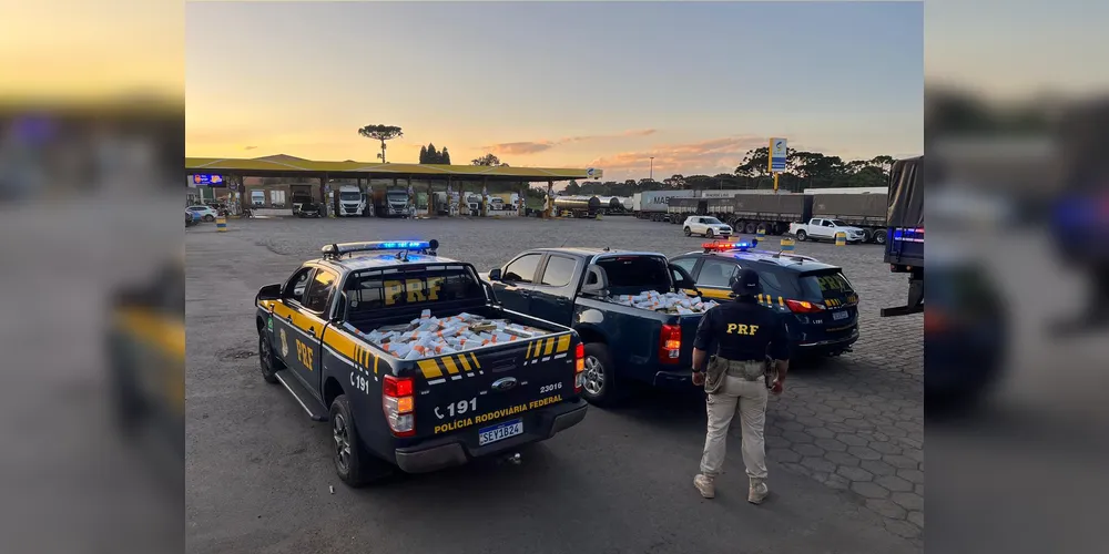 A droga estava distribuída nos 14 pneus, totalizando 893 quilos de maconha