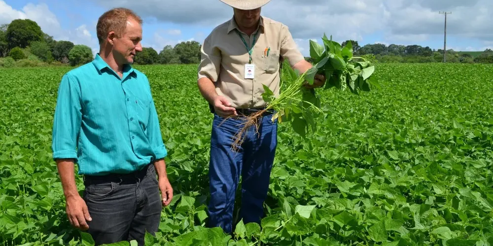 Os contratos terão duração inicial de 12 meses, com possibilidade de prorrogação