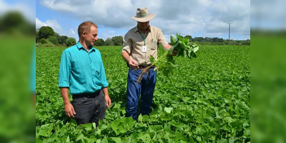 Os contratos terão duração inicial de 12 meses, com possibilidade de prorrogação