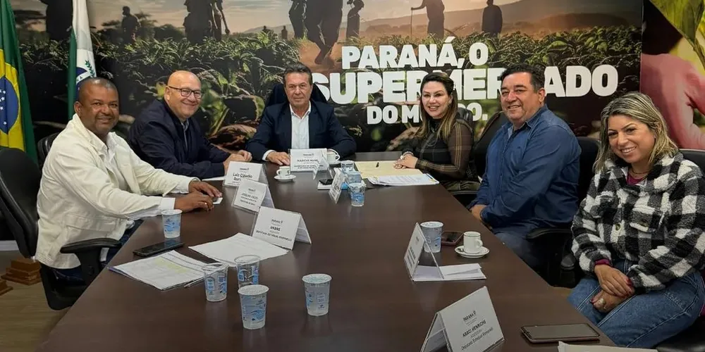 Dayane Sovinski, junto de equipes da Prefeitura de Imbaú, esteve reunida com Márcio Nunes e Luiz Cláudio Romanelli