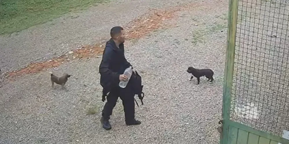 Roberto Farias Thomaz foi encontrado na manhã desta segunda-feira (5)