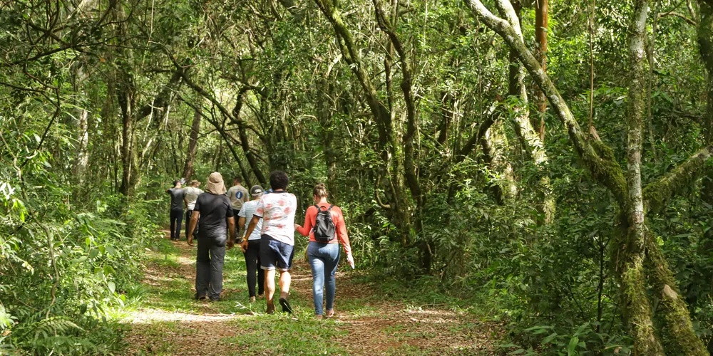 Antiga rede de trilhas pré-coloniais que atravessava a América do Sul, o caminho conecta o litoral brasileiro à Cordilheira dos Andes