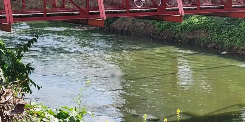 Corpo foi visto boiando no rio Barigui