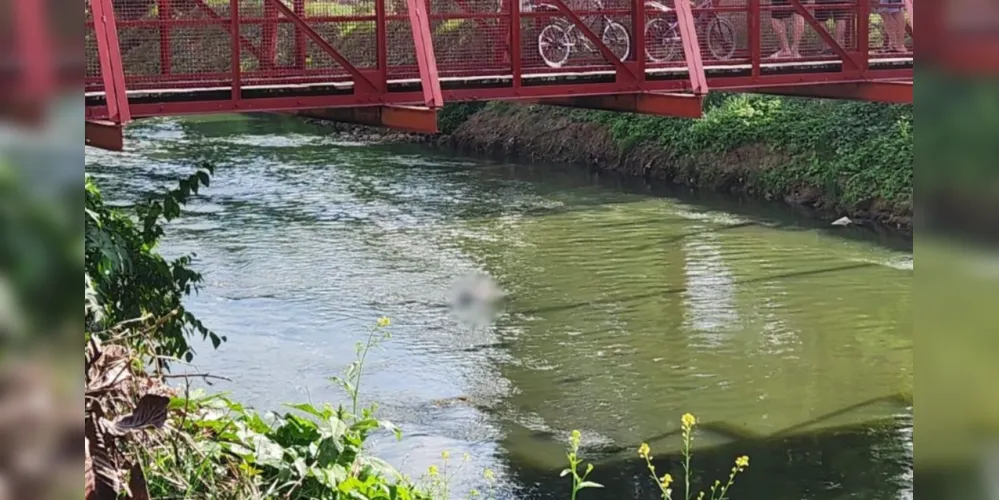Corpo foi visto boiando no rio Barigui