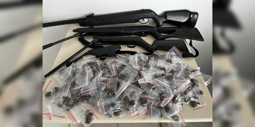 Drogas e armas foram apreendidas após Operação Parasitas em Palmeira