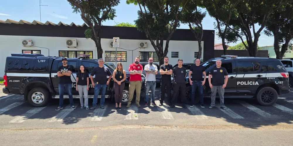 Ação envolveu trabalho conjunto entre a Polícia Civil do Paraná e a Polícia Civil de São Paulo