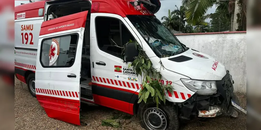 Homem teria perdido o controle da direção, descido uma ribanceira e batido em árvores