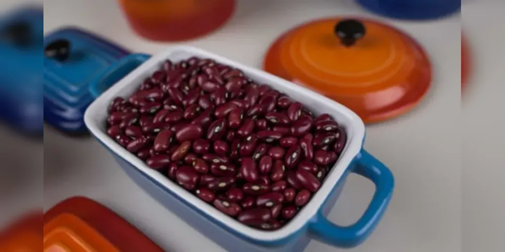 No caso do feijão preto, a retração é mais expressiva