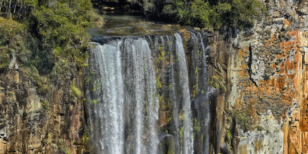 Os parques são espaços preparados para receber quem busca contemplar contato direto com a natureza