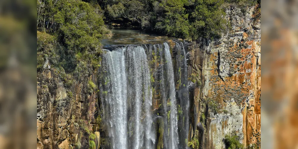 Os parques são espaços preparados para receber quem busca contemplar contato direto com a natureza