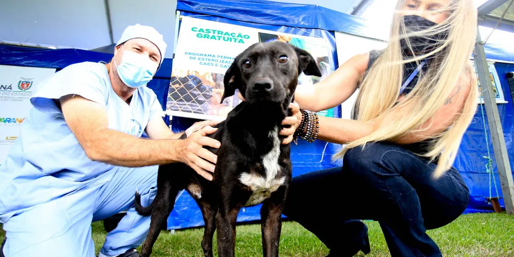 O programa está inserido no conceito de Saúde Única, que relaciona a saúde ambiental, animal e humana
