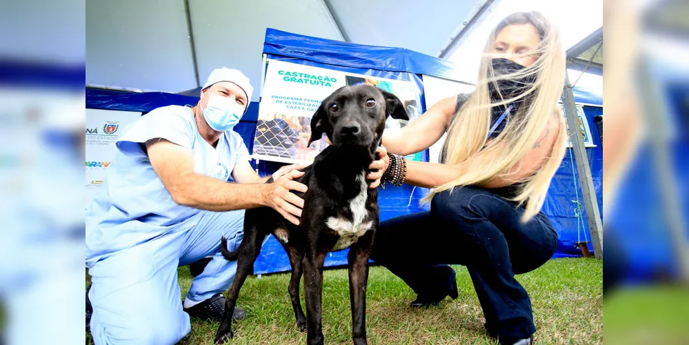 O programa está inserido no conceito de Saúde Única, que relaciona a saúde ambiental, animal e humana