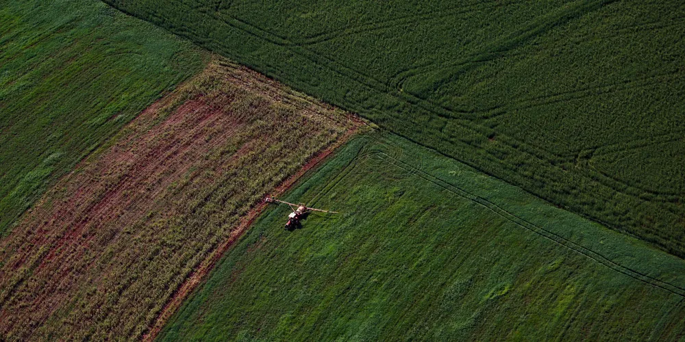 A agropecuária foi o setor que registrou a maior expansão no Estado