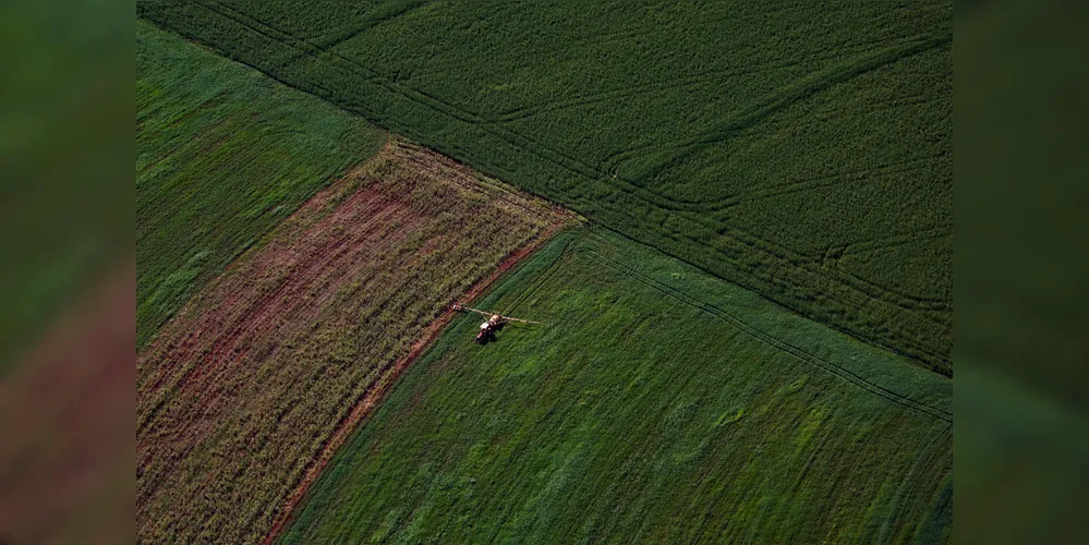 A agropecuária foi o setor que registrou a maior expansão no Estado