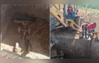 Operador de trator cai em fossa de dejetos no interior de Carambeí