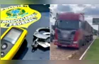 Motorista de caminhão de Ponta Grossa é preso por embriaguez em Apuracana