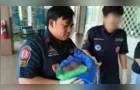 Recém-nascida é localizada em caixa de descarga de vaso sanitário