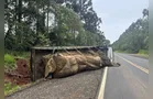 Caminhão tomba na PR-160 em Telêmaco Borba e motorista sai ileso