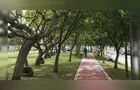 Licitação prevê investimento de arborização para PG por R$ 11 milhões