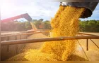 Safra de soja pode alcançar recorde com 178 milhões de toneladas
