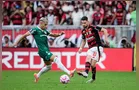 Confira as escalações de Palmeiras e Flamengo para a grande final da Libertadores