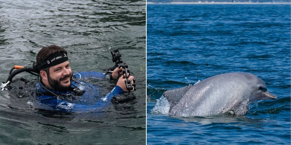 As cenas integram o documentário Maré Cinza (2025)
