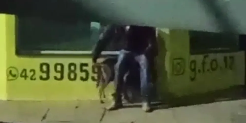 Homem disse aos policiais que estava "brincando" com o animal