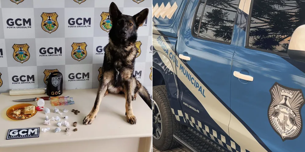 Abordagem contou com a presença de um cão treinado