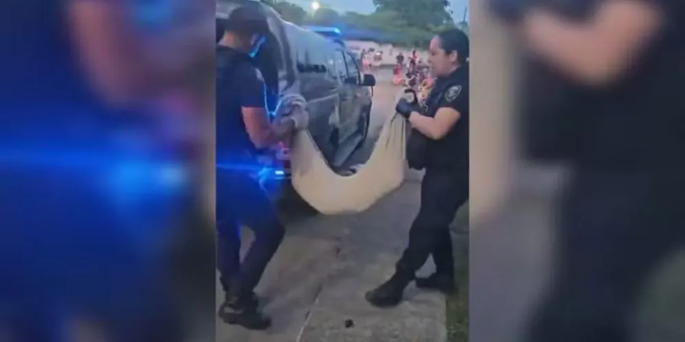 Corpo do cão sendo levado por autoridades