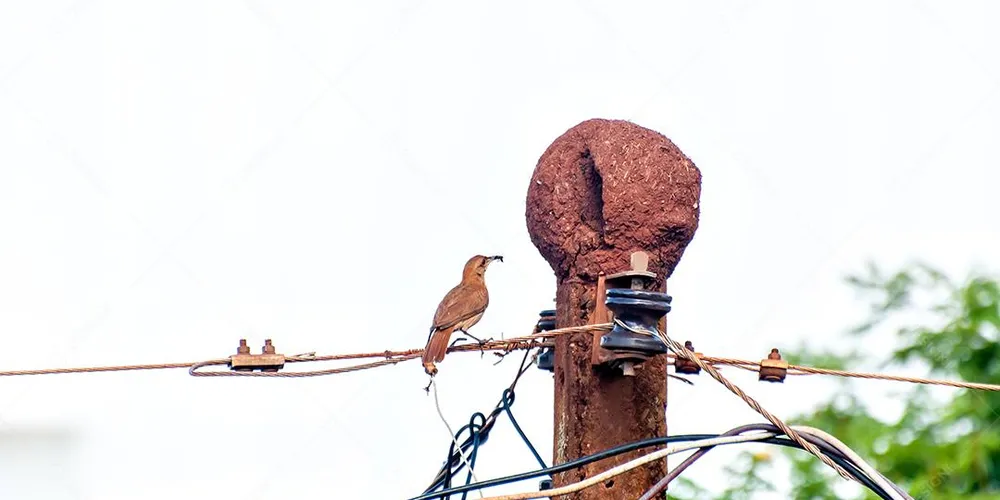 Em Rio Negro, 1.692 consumidores ficaram sem abastecimento